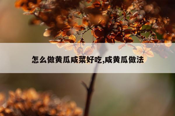 怎么做黄瓜咸菜好吃,咸黄瓜做法