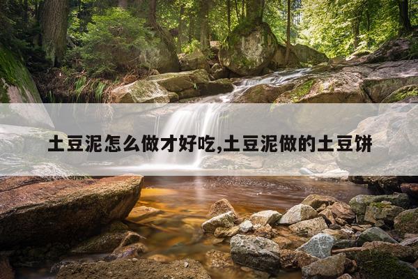 土豆泥怎么做才好吃,土豆泥做的土豆饼