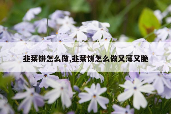 韭菜饼怎么做,韭菜饼怎么做又薄又脆