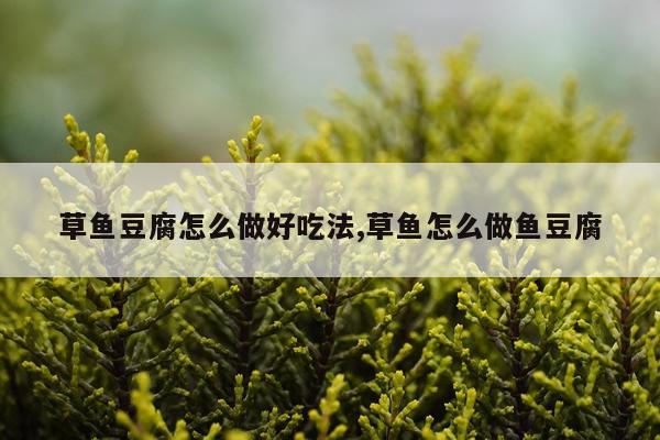 草鱼豆腐怎么做好吃法,草鱼怎么做鱼豆腐