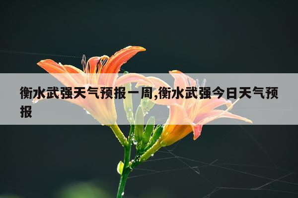 衡水武强天气预报一周,衡水武强今日天气预报