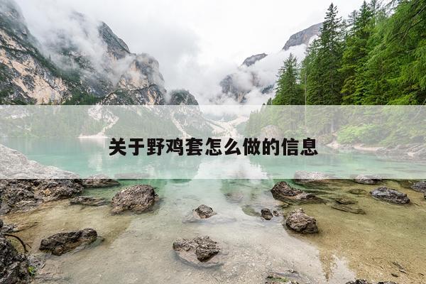 关于野鸡套怎么做的信息