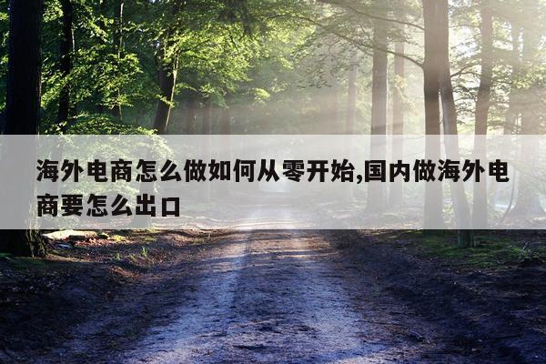 海外电商怎么做如何从零开始,国内做海外电商要怎么出口