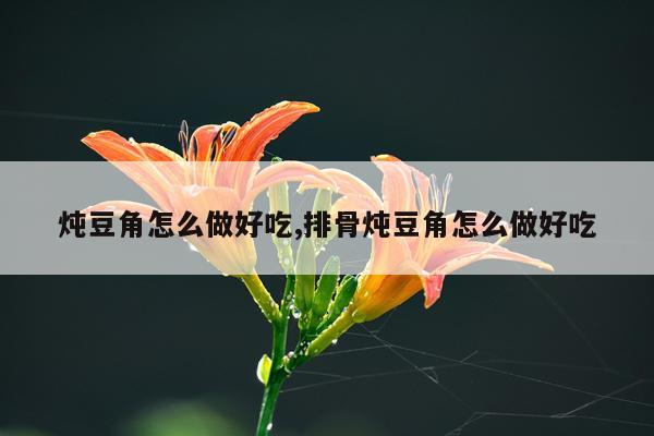 炖豆角怎么做好吃,排骨炖豆角怎么做好吃