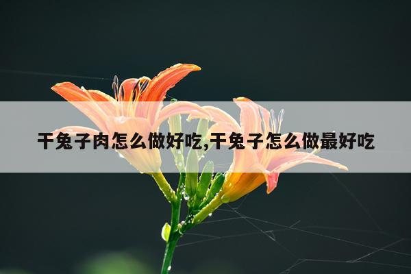 干兔子肉怎么做好吃,干兔子怎么做最好吃
