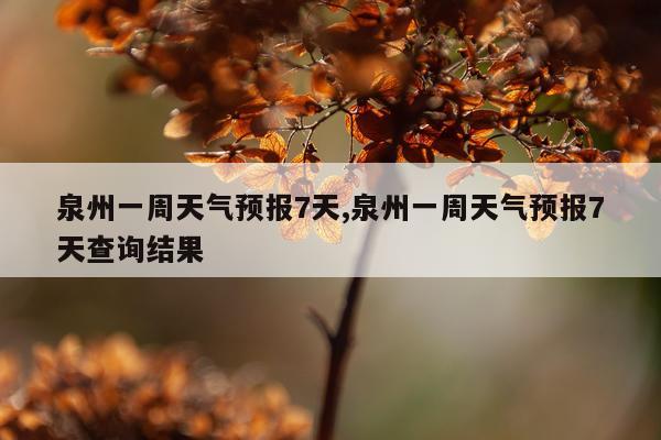 泉州一周天气预报7天,泉州一周天气预报7天查询结果