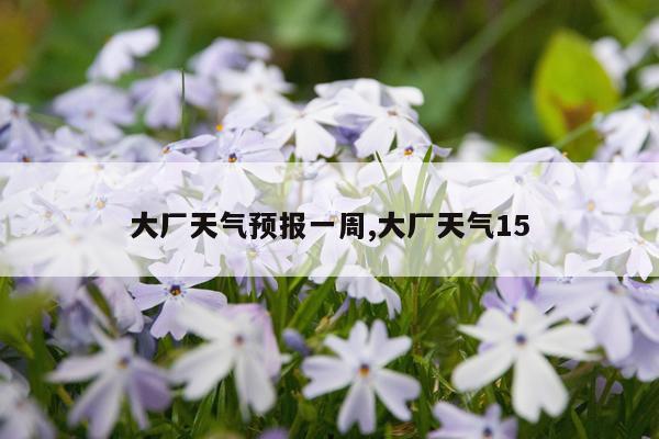 大厂天气预报一周,大厂天气15