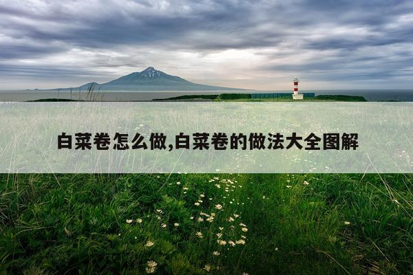 白菜卷怎么做,白菜卷的做法大全图解