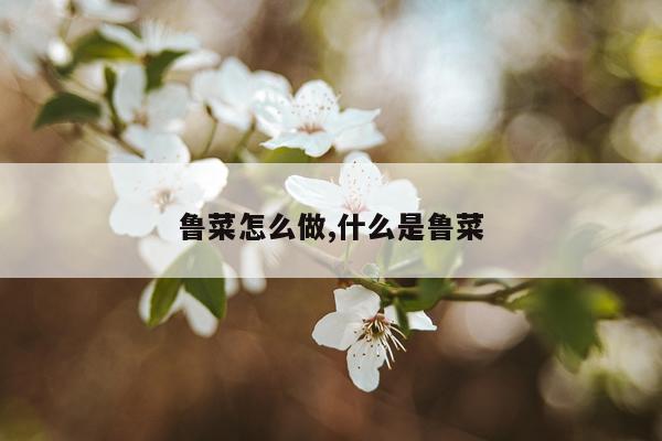 鲁菜怎么做,什么是鲁菜