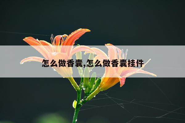 怎么做香囊,怎么做香囊挂件