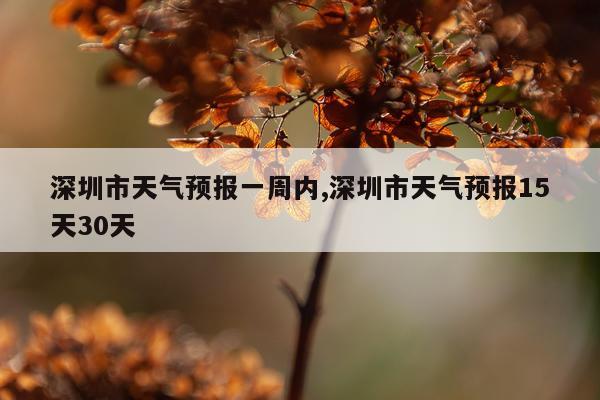 深圳市天气预报一周内,深圳市天气预报15天30天