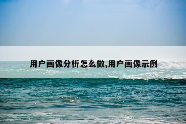 用户画像分析怎么做,用户画像示例