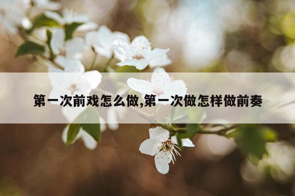 第一次前戏怎么做,第一次做怎样做前奏