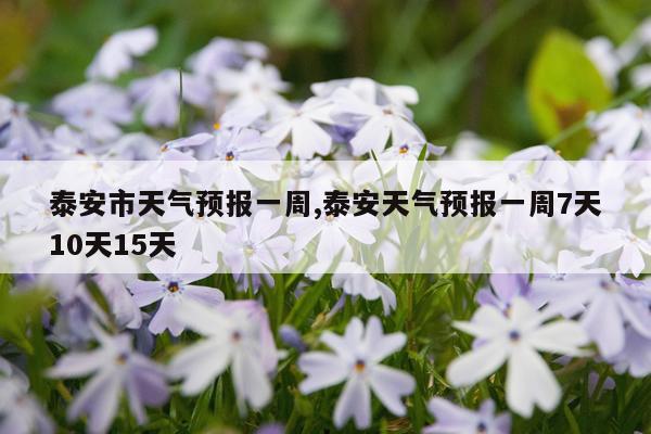 泰安市天气预报一周,泰安天气预报一周7天10天15天