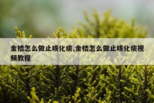 金桔怎么做止咳化痰,金桔怎么做止咳化痰视频教程