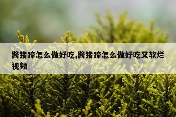 酱猪蹄怎么做好吃,酱猪蹄怎么做好吃又软烂视频
