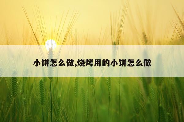 小饼怎么做,烧烤用的小饼怎么做