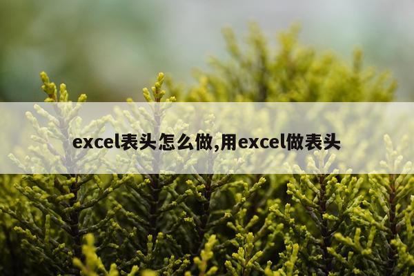 excel表头怎么做,用excel做表头