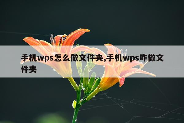 手机wps怎么做文件夹,手机wps咋做文件夹