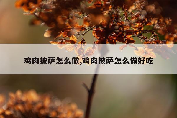 鸡肉披萨怎么做,鸡肉披萨怎么做好吃