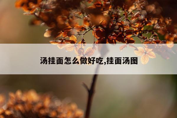 汤挂面怎么做好吃,挂面汤图