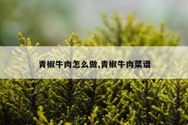 青椒牛肉怎么做,青椒牛肉菜谱