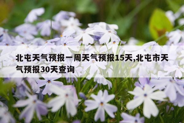北屯天气预报一周天气预报15天,北屯市天气预报30天查询