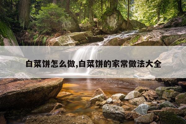 白菜饼怎么做,白菜饼的家常做法大全