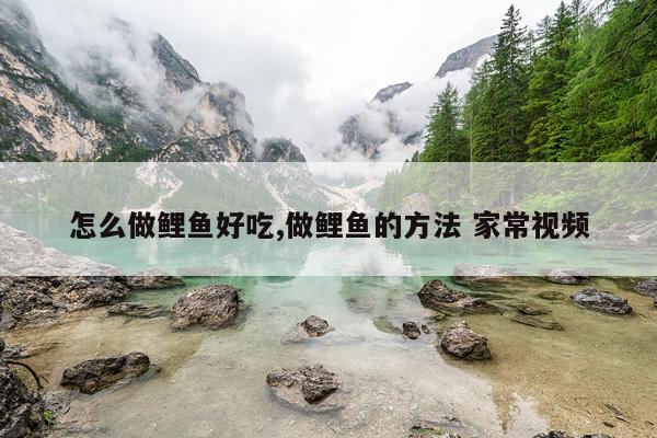 怎么做鲤鱼好吃,做鲤鱼的方法 家常视频
