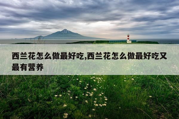 西兰花怎么做最好吃,西兰花怎么做最好吃又最有营养