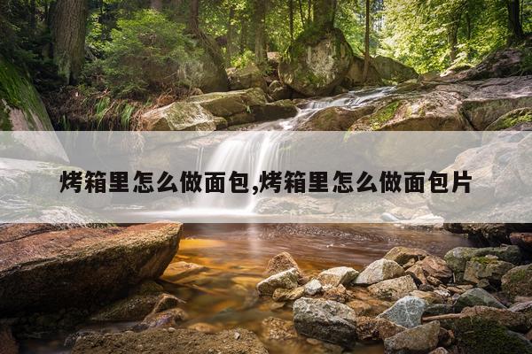 烤箱里怎么做面包,烤箱里怎么做面包片