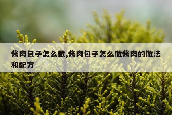 酱肉包子怎么做,酱肉包子怎么做酱肉的做法和配方