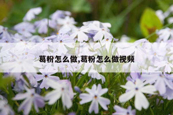 葛粉怎么做,葛粉怎么做视频