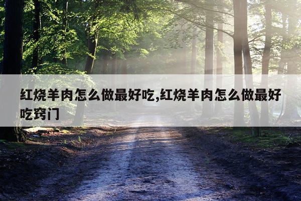 红烧羊肉怎么做最好吃,红烧羊肉怎么做最好吃窍门