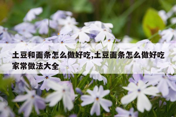 土豆和面条怎么做好吃,土豆面条怎么做好吃家常做法大全