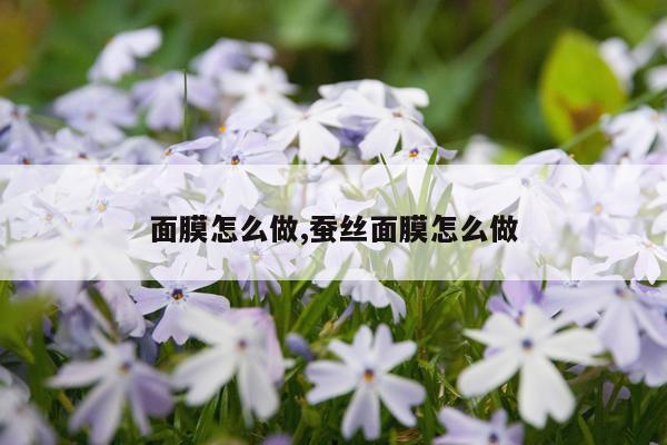 面膜怎么做,蚕丝面膜怎么做