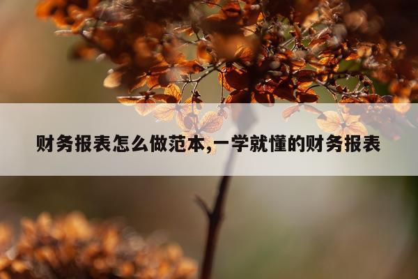 财务报表怎么做范本,一学就懂的财务报表
