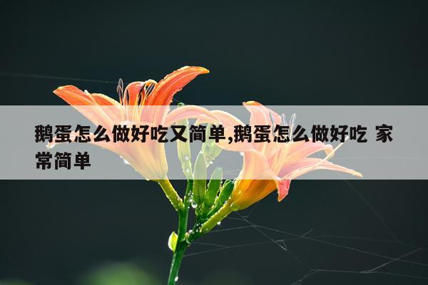 鹅蛋怎么做好吃又简单,鹅蛋怎么做好吃 家常简单