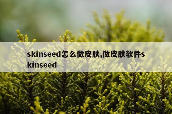 skinseed怎么做皮肤,做皮肤软件skinseed