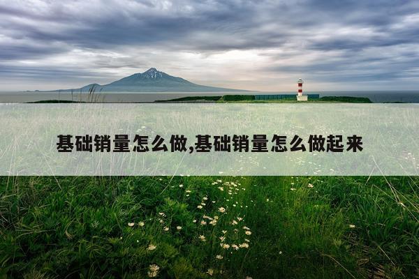 基础销量怎么做,基础销量怎么做起来