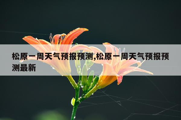 松原一周天气预报预测,松原一周天气预报预测最新