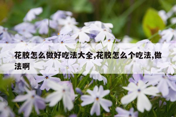 花胶怎么做好吃法大全,花胶怎么个吃法,做法啊