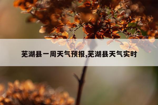 芜湖县一周天气预报,芜湖县天气实时