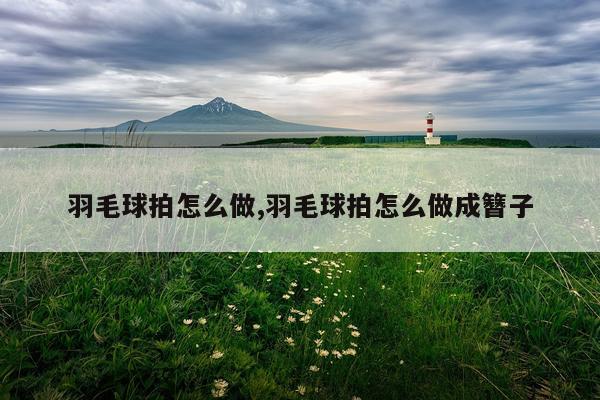 羽毛球拍怎么做,羽毛球拍怎么做成簪子