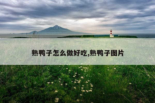 熟鸭子怎么做好吃,熟鸭子图片