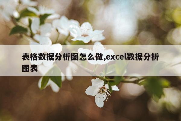 表格数据分析图怎么做,excel数据分析图表