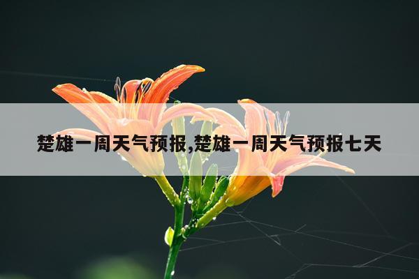 楚雄一周天气预报,楚雄一周天气预报七天