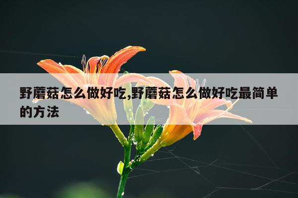野蘑菇怎么做好吃,野蘑菇怎么做好吃最简单的方法