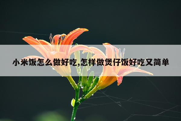 小米饭怎么做好吃,怎样做煲仔饭好吃又简单