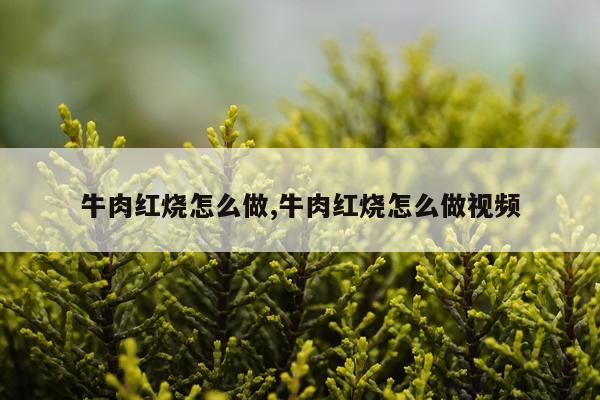 牛肉红烧怎么做,牛肉红烧怎么做视频